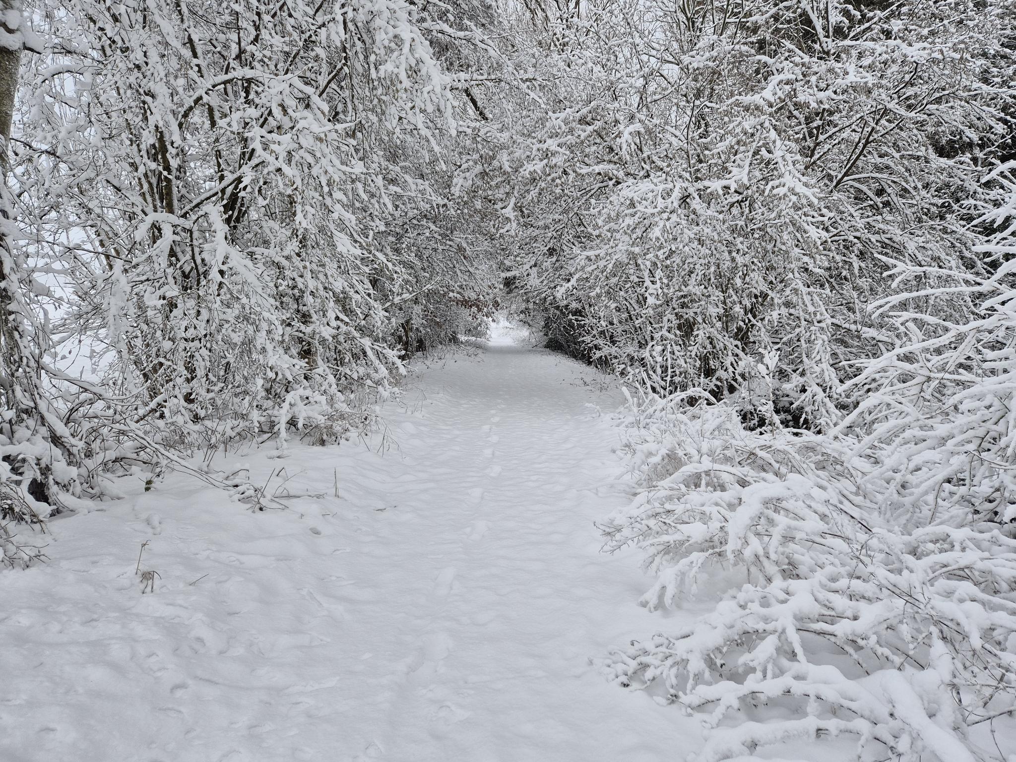 Neige 2